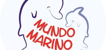 Niepubliczne przedszkole językowe Mundo Marino